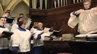 Cathedral Choir - Cathedral of the Assumption