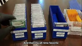 Check out these NGC slab labels! #Coins #shorts #coincollecting