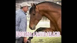 Dedicada a David palacio paso Hig&uuml;eyano ￼ Mexican Fork @ACPHEnVivo 