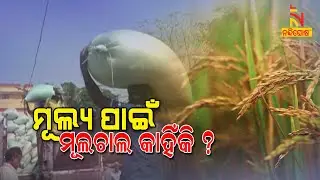 BJD Raises Demand For Implementation Of Recommendations Of Swaminathan Committee For MSP