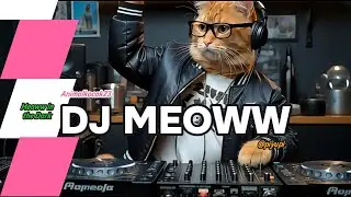 😻🎧DJ MEOWW🎧😻MEOWW IN THE DARK❤️‍🩹😎