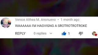 My Comment Section in a Nutshell 14