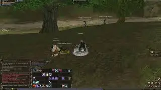 Lineage II Classic  human wizard