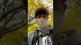 Oirase Gorge trail run | Aomori Pref.