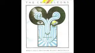 The Chameleons - What Does Anything Mean Basically