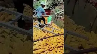 Tips for loading corn