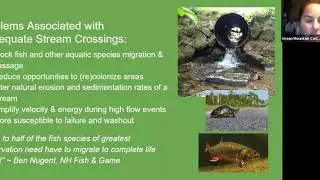 Saco River Stream Crossings Assessment Project