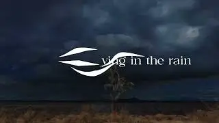Babette - Crying In The Rain ft. Mark Beling (Lyric Video)
