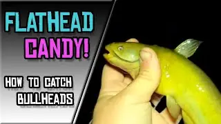 Catch More Bullhead Catfish Using This Quick & Easy Rig!