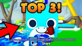 Top 3 YouTubers Hatching HUGE SAILOR SHARK! ⛵🦈 | Pet Simulator X Roblox