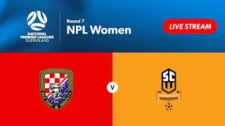 NPL Women Round 7 - Gold Coast Knights vs. Sunshine Coast Wanderers