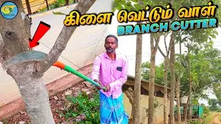 தேக்க மரம் வெட்டும் வாள்|மரக்கிளைகளை எளிதில் வெட்டுவது எப்படி |Branch Cutter
