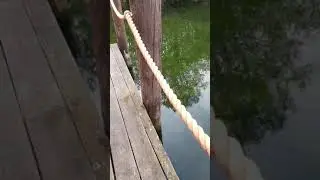 Papere e palafitte immerse nella natura