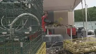 Oysters are the new Maine tourist attraction