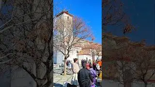 🔥 Visita Mirador de San Nicol&aacute;s, ALBAIC&Iacute;N, Granada, Espa&ntilde;a 🇪🇸#albaicin #granada #andalucia #espa&ntilde;a
