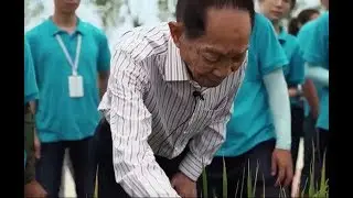 Yuan Longping - 