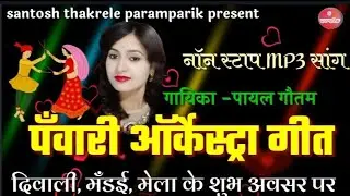 पँवारी नॉन स्टॉप गीत !! दिवाली, मँडई, मेला apecial song !! singer - miss- payal gautam 9131105768