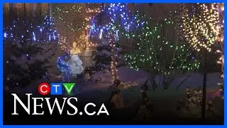 Drysdale's Tree Farm turns into forest of lights