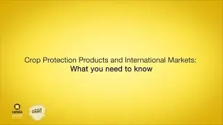 Crop protection products and international markets:  what you need to know | BASF