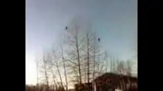Two Eagles flying off