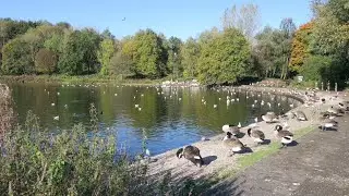 Moses Gate Country Park - Bolton