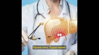 TUDCA- это желчная кислота, которая может помочь восстановить здоровье печени и желчевыводящих путей