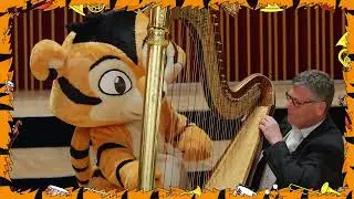 Tutti & instrumenterne: Harpe