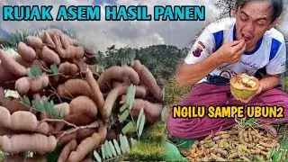 SAMPE NGILERR...MUKBANG RUJAK ASAM JAWA HASIL PANEN DI TENGAH SAWAH