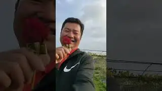 阿成日記20210213九如家聚，大花農場！