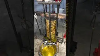 Oil Extraction From Sunflowers #shortsvideo #shortvideo #shorts #short