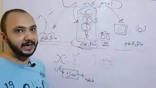 الحصه السابعه فى كورس تعليم قرائه اللغه القبطيه د / ريمون