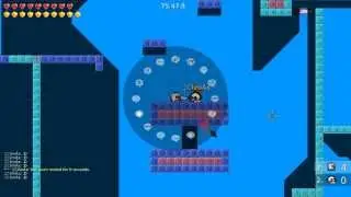Teeworlds Beginner Guide