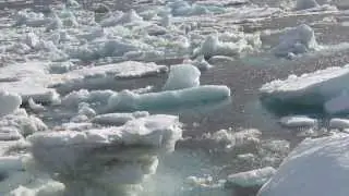 How Important Is Alaska's Role In the Arctic Region?