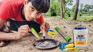 Ultimate Adhesive Showdown: Fevicol vs  Fevikwik vs  Dendrite