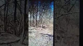Craig And Karen Christy In the Woods Lost Videos Part One