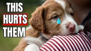 9 Things You Do That Hurt Your Dog You Must Stop Doing!