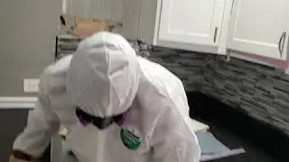 Mold behind kitchen cabinet Summit IL