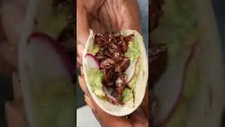 Would you try grasshopper (Chapulines) tacos?