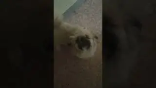 ужасно страшно 🤪