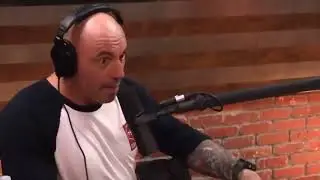 Joe Rogan Recaps Khabib Nurmagomedov vs Al Iaquinta at UFC 223