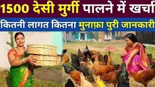 2024 में महीना 2 से 2.5 लाख की कमाई | 1500 सोनाली मुर्गी कितनी लागत और कमाई | Desi Murgi Business