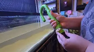 Cleaning My 40 Gallon Fish Tank | Calm Aquarium Maintenance & Reset