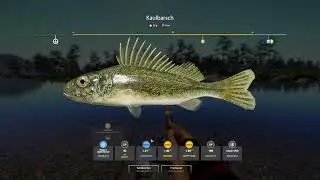 Russian Fishing 4| Neujahresherausforderung 2025 Folge #008 - Belaja Aufgaben abgeschlossen