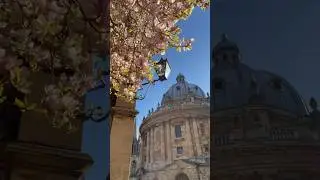 What does the start of spring look like in Oxford? #spring #oxford #travel #nature #sun