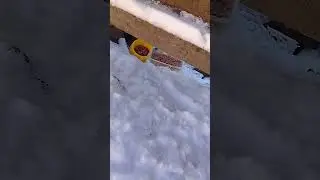На всяк випадок насипав