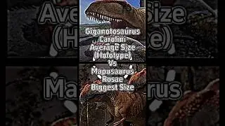 Giganotosaurus Calorini (Holotype) vs Mapusaurus Roseae (Max Size)