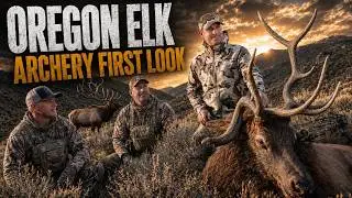 Oregon Elk 25 первый взгляд