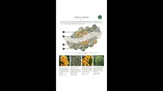 Weekend Project Planning Guides