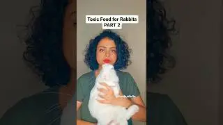 Toxic food for Rabbit Part 2 #rabbithealth #rabbitfood #rabbitcare #rabbitparent #petrabbit #petcare