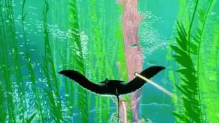ABZ&Ucirc; Riding a Manta Ray